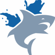 Big Fin SEO logo
