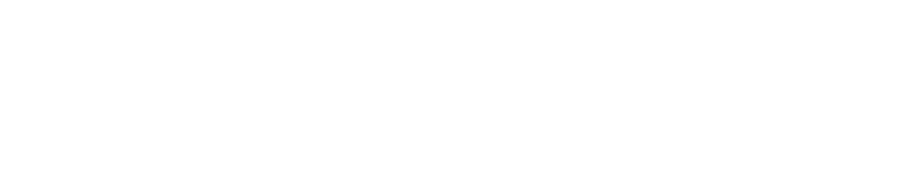Silverback Strategies logo