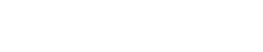 SimpleTiger logo